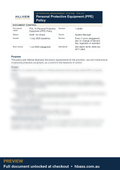 Hillview PPE Policy - sample preview (branded, partially blurred)