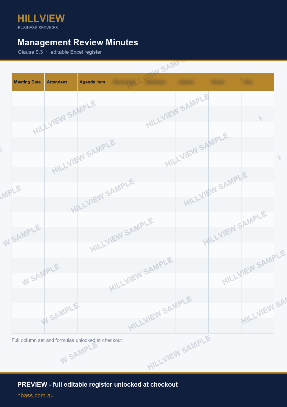 Management Review Minutes - preview